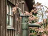 Gartenlauben modernisieren und pflegen – so funktioniert’s richtig